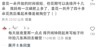 这是一张中文社交媒体的评论区截图，共展示两条用户留言：第一条为IP属地山东的用户于昨日23:52发布，内容先是科普昙花单朵花期短，但整个花期可连续开放十几朵，随后分享自家母亲给昙花施加磷肥过量，导致昙花一共开了四十多朵，开完后状态看起来像被掏空了，该条评论获赞574；第二条为IP属地江苏的用户于11小时前发布，内容表示为了拍摄仅在夜间开放的昙花，自己需要定闹钟半夜爬起来，拍完照片后再回去睡觉，该条评论获赞133，截图下方还显示有“展开8条回复”的提示。