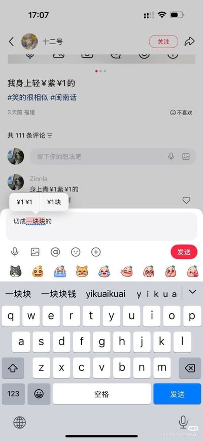 这是一张竖屏的社交媒体截图，原始内容来自小红书平台，用户“十二号”发布了带#笑的很相似 #闽南语 标签的动态，文案写“我身上轻¥紫¥1的”，实际是闽南语里“身上青一块紫一块”的发音和普通话“一块”、人民币金额“¥1”发音相似形成的谐音梗。评论区用户Zinnia也跟着玩梗写“身上青¥1紫¥1的”，在用户输入回复内容时，输入对应拼音后输入法候选词出现了¥1¥1、¥1块的选项，还联想出“切成一块块的”内容，进一步放大了谐音梗的搞笑效果，充满网络趣味。
