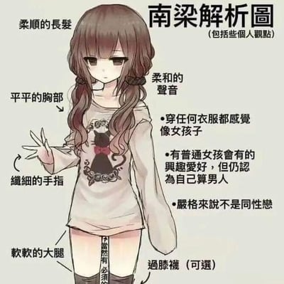 这是一张动漫风格的角色解析图，主角是名为“南梁”的少女。图中用文字标注了她的外貌特征：柔顺的长发、平平的胸部、纤细的手指和软软的大腿，她穿着印有黑猫图案的长袖毛衣。旁边的文字描述了她的特质：声音柔和，穿任何衣服都像女孩子，有普通女孩的兴趣爱好，但仍认为自己是男人，严格来说不是同性恋。