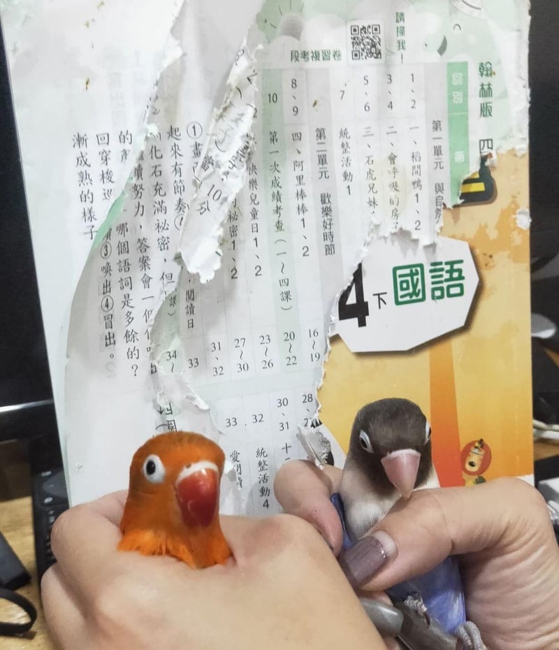 手指玩具