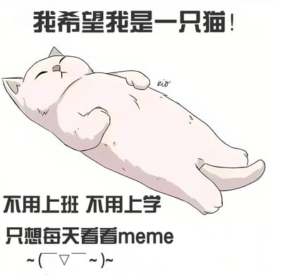 一张卡通风格的图片，描绘了一只白色的猫仰卧着，四肢放松，表情惬意。图片上方有文字“我希望我是一只猫！”，下方配有“不用上班 不用上学 只想每天看看meme”的文字内容，底部还有一个波浪线组成的表情符号~(￣▽￣~)~。整体表达了人们对猫咪悠闲生活的向往，以及对摆脱工作和学习压力的渴望。