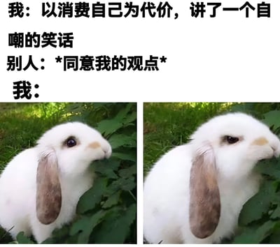 图片上方为三段文字：'我：以消费自己为代价，讲了一个自嘲的笑话'、'别人：*同意我的观点*'、'我：'。下方是两张左右排列的垂耳兔照片，兔子通体雪白，耳朵为浅棕色，正趴在绿色草丛中啃食叶子，两张照片中兔子神态相似，通过图文结合幽默展现了自嘲者听到他人认同自己自嘲观点时的复杂心情。
