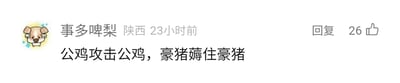 这是一张社交媒体平台的评论截图，左上角配有一个吐着舌头的可爱卡通小狗头像，评论发布者的用户名是“事多啤梨”，标注了所在地为陕西，发布时间为23小时前。评论内容为“公鸡攻击公鸡，豪猪薅住豪猪”，这句话是谐音梗，“公鸡攻击公鸡”谐音“公公攻击公公”，“豪猪薅住豪猪”谐音“号主薅住号主”，属于玩谐音制造趣味的评论。该评论右侧显示有“回复”按钮，并且获得了26个点赞。