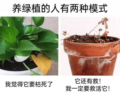 这是一张左右对比的静态图文混排图，上方标题为“养绿植的人有两种模式”。左侧展示了一盆大部分叶片翠绿、仅一片叶片发黄的绿植，配文“我觉得它要枯死了”，对应焦虑型绿植主人的心态：仅看到一点绿植的异常就过度担忧它会枯死；右侧展示了一盆几乎完全枯萎、只剩几根干枯枝条的绿植，配文“它还有救！我一定要救活它！”，对应执着型绿植主人的心态：即便绿植几乎完全枯萎，仍抱有强烈的挽救意愿。图片通过两种极端养绿植状态的对比，生动调侃了养绿植人群中两种截然不同的矛盾心态，引发有养绿植经历人群的共鸣。