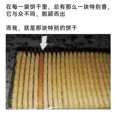 这是一张图文混排的幽默自嘲类静态图，上方配有两段递进式文字：先是铺垫“在每一袋饼干里，总有那么一块特别香，它与众不同，脱颖而出”，紧接着点明核心“而我，就是那块特别的饼干”；下方的图片展示了一排列得十分整齐的长条状饼干，其中有一块颜色明显更深，呈现出烤过度的深棕色，被白色箭头特意标注出来。整张图用这块在整齐饼干中显得突兀的烤糊饼干，来比喻自己是群体中显眼的“异类”，通过反差感制造幽默效果，完成自我调侃，表达出一种在群体中与众不同的自嘲心态。