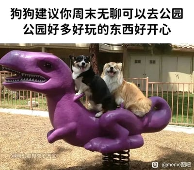 这是一张图文结合的趣味内容图，画面呈现了公园儿童游乐区的场景，一只三色柯基和一只浅棕色长毛狗狗一同坐在紫色的恐龙造型摇摇乐上，两只狗狗都张着嘴、露出舌头，表情十分开心兴奋，看起来正在享受游玩的乐趣。图片上方配有拟人化的文字“狗狗建议你周末无聊可以去公园 公园好多好玩的东西好开心”，以狗狗的快乐状态为切入点，向观看者推荐周末去公园度过休闲时光，整体氛围轻松治愈，充满了欢快的气息。