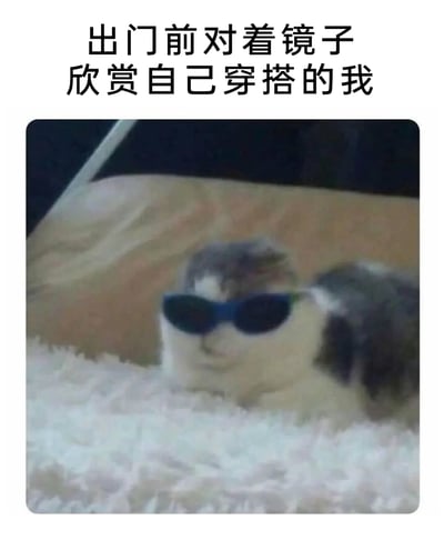 这是一张诙谐有趣的宠物表情包，上方配有文字“出门前对着镜子欣赏自己穿搭的我”，图中是一只被P上蓝色墨镜的猫咪，它趴在毛绒垫子上，神态拽酷又自信，通过拟人化的方式，生动还原了人们出门前精心打扮后，对着镜子自我欣赏、觉得自己十分帅气的自恋又可爱的日常场景，用猫咪的形象来表现这种小情绪，让人感同身受又觉得搞笑。
