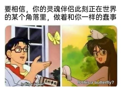 这是一张左右对比的多图拼接梗图，顶部配有文字“要相信，你的灵魂伴侣此刻正在世界的某个角落里，做着和你一样的蠢事”。左侧改编自动画《蓝宝石之谜》的经典场景，戴眼镜的男性角色对着一只蝴蝶，却疑惑地问“这是鸽子吗？”；右侧是同人创作的对应画面，戴眼镜的女性角色头顶停着一只鸽子，却调皮地问“这是蝴蝶吗？”。两者都完全认错了眼前的事物，配合顶部的文字，用这种对称又迷糊的行为来调侃灵魂伴侣之间的奇妙默契，制造出荒诞又搞笑的效果，以轻松幽默的方式诠释了灵魂伴侣之间“同款迷糊”的趣味关联。