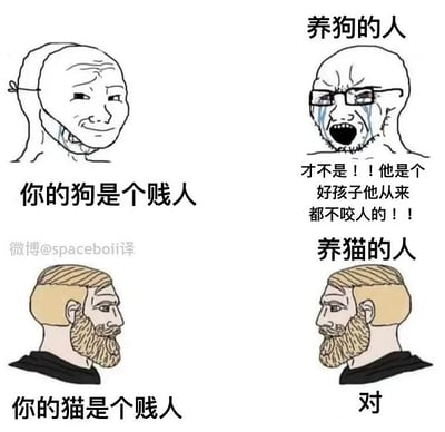 这张图用网络表情包对比了养狗和养猫的人对自己宠物被形容为“贱人”时的不同反应。狗主人往往激烈否认、情绪外露，而猫主人则认同甚至自嘲。利用了Wojak（哭哭脸）和Chad（金发大胡子）两种梗图人物进行对比，非常有趣。猫狗圈自黑、护主的态度都表现得淋漓尽致。图中有轻微双关，“贱人”作为戏称具有幽默效果。