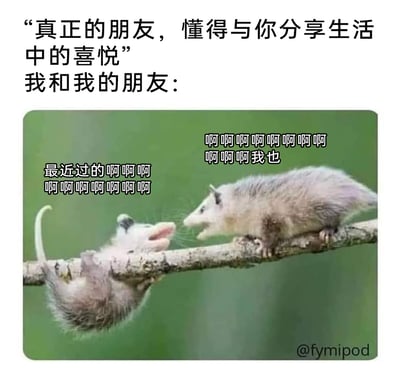 这张梗图通过“理想中好友分享生活喜悦”与“现实中我和朋友的聊天状态”的反差，制造搞笑效果。顶部文字先铺垫了大众认知里好友分享的温馨感，随后用两只大张嘴巴、看起来在疯狂大喊的负鼠，还原了当代年轻人和好友的真实聊天场景：没有具体的生活细节分享，只是用一连串无意义的“啊啊啊”来互相宣泄情绪，精准戳中了好友间那种看似喧闹却充满默契的“无效聊天”日常，真实又好笑。