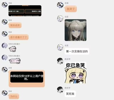 这是一张拼接的群聊记录截图，左侧内容为群成员“未闻”发出某网站的18岁年龄验证界面，称自己是未成年，询问是否无法查看内容，随后发出网站“本网站仅供18岁以上用户使用”的提示，群友“可希为何吃薯片”用表情包回应“看不了”；右侧内容为“未闻”表示“我哭了”，群友“白芨”发出游戏《明日方舟》中角色白面鸮的图片，调侃“第一次见倒在这的”，群友“炸洋芋”则发“你已急哭”的表情包，并补刀“笑死我”。整个群聊围绕未成年无法进入18+网站展开，充满戏谑搞笑的氛围，无谐音梗或双关暗示。