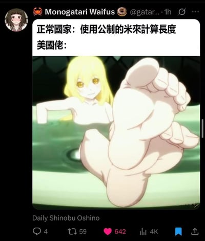 这是一张在X（原推特）发布的搞笑梗图，上方用文字对比：「正常国家：使用公制的米来计算长度 美国佬：」，下方搭配《物语系列》中忍野忍伸出脚的动画截图，玩了英文里“英尺（foot，英文脚的单词）”的双关梗——美国常用英制单位英尺，用动漫角色的脚来调侃美国不使用公制单位的习惯，以幽默的方式吐槽不同国家的计量单位差异。