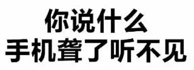 这是一张纯文字梗图，背景为白色，中央是黑色加粗文字：'你说什么 手机聋了听不见'。通过将手机拟人化，调侃式地表达因手机'聋了'而听不见对方说话，常用于幽默拒绝沟通或假装没听见的场景。