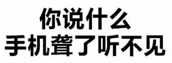 手机聋了听不见
