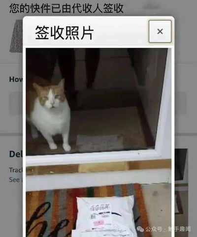 这张图呈现了一个充满趣味的快递签收场景：上方的快递通知界面显示“您的快件已由代收人签收”，点开的“签收照片”里，一只白棕相间的猫咪站在门口，快递包裹放在门口的地垫上。画面将猫咪巧妙地与“代收人”的设定绑定，制造出猫咪就是签收快递的代收人的错位笑点，用宠物日常结合快递签收的生活场景，形成反差感，带来幽默搞笑的效果，让人忍俊不禁。