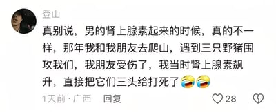 这是一张社交媒体评论截图，用户「登山」发布评论分享了一段夸张的经历：自己和朋友爬山时遭遇三只野猪围攻，朋友受伤，自己在肾上腺素飙升的状态下直接打死了三头野猪，末尾配上两个笑哭表情。内容充满吹牛调侃的意味，结合相关调侃标题，是网友对这种夸张言论的戏谑传播。