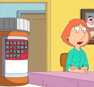 这是一张改编自动画《恶搞之家》的网络迷因图，画面中动画角色路易斯·格里芬坐在桌前，双眼瞪大，露出错愕惊讶的神情，身旁摆放着一个尺寸夸张的巨型药瓶，药瓶上标注着配文“保存很多现在用不上但将来说不定能派上用场的图”。该图以幽默夸张的方式，将人们日常中喜欢囤积暂时无用、却总认为未来可能会用到的图片的行为，调侃成一种需要“药物干预”的状态，精准戳中了很多人的日常习惯，十分贴切有趣。