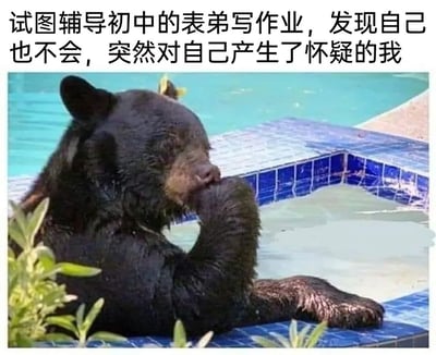 这是一张图文结合的梗图，图片上方配有文字“试图辅导初中的表弟写作业，发现自己也不会，突然对自己产生了怀疑的我”，下方是一只身处泳池中的黑熊，它一只前爪托着嘴，神情看起来困惑又沉思，另一只前爪搭在泳池边缘，姿态极具拟人化，完美契合了文字所描述的那种面对初中作业却束手无策，进而陷入自我怀疑的懊恼、困惑又尴尬的情绪，生动调侃了成年人随着时间推移遗忘低年级知识，辅导作业时遭遇的窘境。