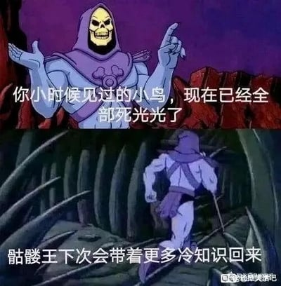 这是一张上下拼接的动画改编搞笑梗图，上半部分截取了经典动画《宇宙的巨人希曼》中的角色骷髅王，他一只手摊开、另一只手指向上方，搭配文字“你小时候见过的小鸟，现在已经全部死光光了”，分享了一个略带扎心感的冷知识；下半部分则是骷髅王背对镜头持杖快速逃跑的画面，配文“骷髅王下次会带着更多冷知识回来”，用角色逃跑的动作和上半部分的冷知识形成反差，制造出诙谐搞笑的效果，整体风格轻松有趣，用经典动画角色的反差行为来增强梗图的趣味性。