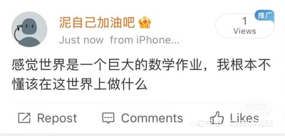 社交媒体用户“泥自己加油吧”（带皇冠 emoji）通过iPhone发布的一条动态，内容为“感觉世界是一个巨大的数学作业，我根本不懂该在这世界上做什么”，表达了对生活的迷茫与困惑。帖子带有“推广”标签，显示1次查看，下方有点赞、评论、转发按钮，右下角有水印“小红书ID: 888888256”。