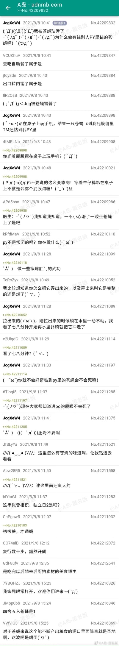 这是A岛匿名版（adnmb.com）综合版的一篇帖子，楼主JcgXeW4于2021年9月8日分享了自己的奇葩经历：穿着牛仔裤趴在桌上玩手机时，苍蝇钻入了自己的肛门。楼主后续说明是通过排便将苍蝇排出，且苍蝇排出后一开始不动，过了七八分钟还在水里扑腾。楼内的网友们纷纷以此为素材玩梗，用“去吃自助餐了属于是”“出口转内销了属于是”等调侃，还有网友用《桃花源记》的语句改编玩梗，以及模仿苍蝇视角进行搞笑回复，整个帖子充满了轻松搞笑的玩梗氛围，是论坛网友互动的典型UGC内容。