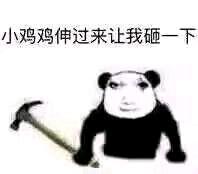 这是一张经过P图改编的熊猫头表情包，图中是将人脸表情与熊猫形象合成的角色，手持一把锤子，上方配文“小鸡鸡伸过来让我砸一下”，用低俗又无厘头的话语制造出滑稽搞笑的效果，适合在朋友间进行玩梗调侃。