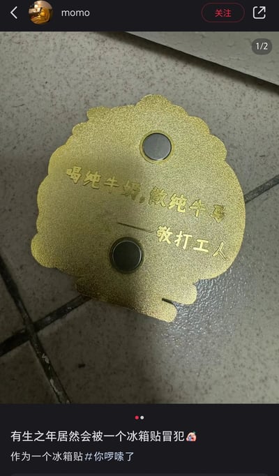 这是一张社交媒体平台的实拍截图，展示了用户momo分享的一款金色磁吸冰箱贴。冰箱贴外形为不规则的云朵状，表面带有磨砂质感，配有两个圆形磁吸点，上面刻着“喝纯牛奶，做纯牛马——敬打工人”的标语，巧妙结合“纯牛奶”与网络热词“牛马”（指代辛苦劳作的打工人）玩了谐音梗，精准戳中当代打工人的职场处境。用户配文“有生之年居然会被一个冰箱贴冒犯😅 作为一个冰箱贴#你啰嗦了”，以幽默自嘲的语气表达出被标语戳中内心的哭笑不得，容易引发同为打工人的群体共鸣。