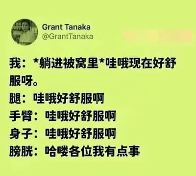 这张梗图以自我对话的幽默方式，展现了人钻进被窝全身放松时膀胱突然想上厕所的尴尬和无奈场景。所有身体部位都在享受舒适，唯有膀胱“不合时宜”地打断安逸，营造出强烈共鸣和搞笑氛围。纯粹生活幽默。