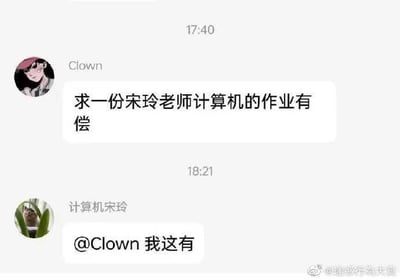 这是一段群聊记录截图，用户Clown在群内发布消息，有偿求宋玲老师的计算机作业，没想到名为“计算机宋玲”的用户直接@他回复“我这有”，原来求作业的对象就在群里，瞬间形成了大型社死现场，尴尬又好笑，没有双关、谐音梗等特殊内容。