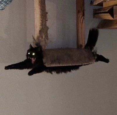 图片中一只黑色猫咪正趴在墙上的猫爬架平台上，身体呈拉伸状态紧贴平台。猫咪的眼睛在光线反射下呈现出明显的绿色发光效果，嘴巴大张露出牙齿，表情看起来既狰狞又带点滑稽。背景是浅色墙面，猫爬架由木质框架和麻绳缠绕的柱子组成，右侧还有堆叠的木质结构。整体场景展现了猫咪在日常活动中捕捉到的夸张瞬间，发光的眼睛和张开的嘴巴形成强烈视觉冲击，充满反差萌。