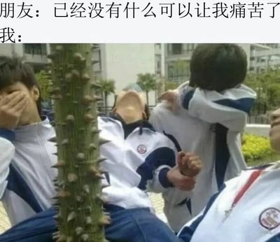 朋友自信宣称‘已经没有什么可以让我痛苦了’，而‘我’则用实际行动反驳——图中几名穿着蓝白校服的学生正在上演一场‘仙人掌惨剧’：一名男生仰躺在带刺的仙人掌旁，表情痛苦，旁边同学有的捂眼不忍看，有的似乎在拉扯他，画面充满搞笑的反差感。