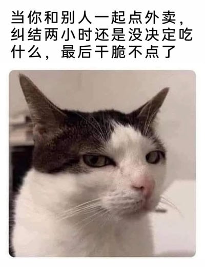 这是一张贴合日常场景的搞笑表情包，上方配有文字“当你和别人一起点外卖，纠结两小时还是没决定吃什么，最后干脆不点了”，下方是一只黑白相间的猫咪，它眼神涣散、表情无奈又带着疲惫感，完美契合了人们在和他人一起点外卖时，因选择困难纠结许久最终放弃的烦躁、无力情绪，精准戳中很多人都有过的这类日常经历，容易引发共鸣。