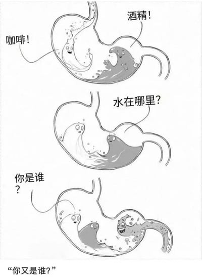 这是一幅三格连环卡通漫画，采用拟人化的创作手法，以胃部为场景展开：
1. 第一格：咖啡和酒精以带表情的液体形态出现在胃中，兴奋地自我介绍；
2. 第二格：两者的表情转为惊慌，同时发出“水在哪里？”的疑问，表现出对缺水状态的不安；
3. 第三格：胃的出口处出现了一种陌生的拟人液体，咖啡和酒精惊讶地询问“你是谁？”，陌生液体也反问“你又是谁？”。
漫画用幽默的方式调侃了长期只饮用咖啡、酒精等刺激性饮品，不喝水的不健康习惯，暗示这种行为会让胃部环境变得异常，连自身的液体都变得“陌生”，以此提醒人们要养成多喝水的健康习惯。
