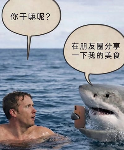 这是一张经过P图改编的搞笑网络梗图，画面呈现海洋场景：一名男子在海水中露出上半身，面露惊讶地看向身旁的大白鲨；大白鲨被P上了握持手机的姿态，搭配两个对话气泡，男子询问“你干嘛呢？”，鲨鱼回应“在朋友圈分享一下我的美食”。这里的“美食”暗指海水中的男子，利用鲨鱼作为捕食者的身份，结合人们在朋友圈分享美食的日常行为，制造出荒诞反差的搞笑效果，调侃了社交平台分享日常的普遍行为。