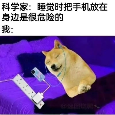 这张梗图通过对比科学家的警告和个人行为制造幽默效果。上方文字写着'科学家：睡觉时把手机放在身边是很危险的'，下方则是一只戴着耳机的柴犬（Doge表情包角色）舒适地躺在床上，旁边连接着正在充电的手机。这种反差幽默地表现了人们明知某些行为有潜在风险却仍然坚持的矛盾心理。
