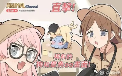 动漫风格插画，展示了ANIMAL Channel Live特别节目现场。画面中有两位戴着探险帽的女性观察者：左侧为粉发戴眼镜、表情惊讶兴奋的女性，手持望远镜；右侧为棕发、表情惊讶的女性，手指向中央。中央场景中，一只戴着黑色小帽的黄色小狗正趴在一只蓝色章鱼状生物身上，章鱼状生物面露害羞红晕。顶部左侧有节目标题'ANIMAL Channel Live 跨越种族的爱特集'，中央上方有'直撃！'字样，下方配有'稀有的狗和章鱼OO画面！'文字，整体营造出好奇与惊喜的氛围。