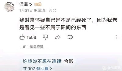 这是一张B站评论区的截图，楼主自嘲道“我时常怀疑自己是不是已经死了，因为我老是看见一些不属于阳间的东西”，下方高赞网友巧妙跟风回复“合影”，仿佛两人都‘不在人间’，借灵异梗玩起了黑色幽默和网友共鸣，风格沙雕、有自嘲意味。图片氛围轻松搞笑，适合用于表达心情阴郁或精神恍惚时的自我调侃。

涉及双关与黑色幽默，把“阳间”“合影”等概念玩成了灵异喜剧梗。
