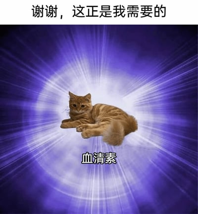 这是一张经过P图改编的趣味表情包，画面核心是一只趴卧着的橘猫，猫咪被带有神圣感的蓝紫色放射状发光光晕包围，营造出温暖治愈的氛围。图片顶部配有文字“谢谢，这正是我需要的”，猫咪下方标注“血清素”。血清素是一种能调节情绪、带来平静与愉悦感的神经递质，这张图将抽象的血清素具象化为自带治愈感的橘猫，用幽默可爱的方式，精准表达了人们在情绪焦虑、低落时，渴望获得情绪安抚、被治愈的心理需求，结合猫咪的软萌形象与光晕的神圣感，让内容更具感染力，很适合在社交聊天中传递对情绪价值的渴望。