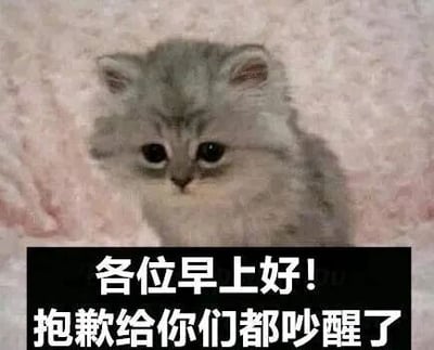 这是一张顶配底文的静态单图表情包，主体是一只毛发蓬松、眼神委屈可怜的灰色小猫，它安静地坐在粉色的背景上。图片下方有黑色背景的白色文字“各位早上好！抱歉给你们都吵醒了”，用小猫的可爱委屈形象搭配道歉式的早安问候，营造出一种软萌又有点好笑的氛围，适合在早上给朋友或同事发，用略带歉意的方式打招呼，显得十分可爱。