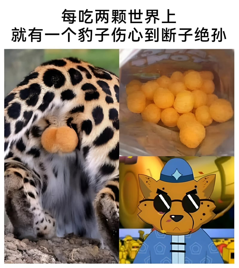 豹子