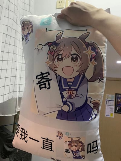 这是一张展示定制二次元周边抱枕的照片，抱枕上印有《赛马娘 Pretty Derby》中的角色待兼诗歌剧的表情包风格图案：角色扎着双马尾，双眼带有星星特效，脸颊泛红，双手举着写有中文网络热词「寄」的纸张，抱枕下方配有文字「要我一直寄吗」，同时抱枕顶部和角落也印有小尺寸的角色图案和「寄」字，整体风格趣味十足，结合了热门二次元IP和网络流行梗，是面向二次元爱好者的创意周边。