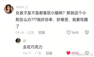 这是一段来自微博评论区的搞笑互动截图。用户Jotair以“小狗”的身份自嘲发文，表达自己因为觉得女孩子都喜欢小猫而产生的“自卑吃醋”情绪，内容为“女孩子是不是都喜欢小猫啊？那我这个小狗怎么办？？？我好自卑，好难受，我要吃醋了”；另一位用户“肆”给出了“去吃巧克力”的回复，这个回复利用了“狗狗食用巧克力会中毒”的冷知识，用看似无厘头的回应制造出讽刺又搞笑的效果，该回复获得了4333个点赞，远高于原评论的1645个点赞，成为了这段互动的笑点核心。