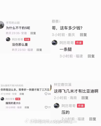 这是一张抖音评论区截图，记录了用户「阿历哥哥」分享自己被车辆撞伤的经历时，和其他提问网友的四段互动内容：1. 网友询问为什么不索赔豹5，作者回应伤势没有那么重；2. 网友询问撞他的车价格，作者回复「一条腿」；3. 网友称自己骨折一条腿仅获赔三万五，作者解释撞自己的是奔驰大G；4. 网友调侃要被撞飞几米才能获赔比亚迪，作者回复是被车压的。整体内容用夸张的反差感形成黑色幽默，笑点十足。
