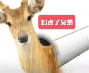 鹿