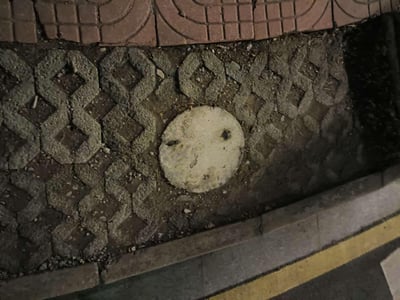 这是一张夜晚拍摄的城市人行道场景图，画面下方是马路边缘的路沿，上方是带有连锁花纹的灰色步道砖，步道中间的一块圆形旧石板上，两处深色的凹陷恰好构成了眼睛的形态，搭配石板的磨损痕迹，形成了一个潦草又有趣的笑脸图案，是日常街头里偶然发现的趣味视觉巧合。
没有双关、谐音梗或暗示内容，纯粹是自然形成的趣味画面。