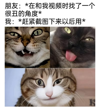 这是一张图文结合的搞笑表情包，上方配文描绘了损友之间的趣味互动场景：和朋友视频通话时，朋友不小心摆出了很丑的角度，自己立刻截图保存下来，留作日后调侃朋友的“黑料”。下方拼接了三张风格各异的丑萌猫咪图，分别是牙齿歪扭、面部脏乱的怪异猫咪，歪脸吐舌头的滑稽猫咪，以及因视觉错位看起来有四只眼睛的猫咪，用这些猫咪的丑态来对应朋友视频时的丑角度，生动又诙谐地展现了朋友之间互坑互怼的轻松日常，容易引发有类似经历的网友共鸣。