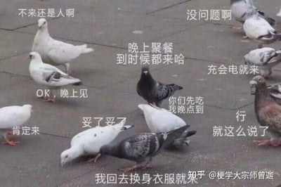 图片展示了一群鸽子站在地面上，每只鸽子旁都配有一句中文文字，内容均为人们常用的聚会爽约借口，如“充会电就来”“你们先吃我晚点到”“我回去换身衣服就来”等。通过将鸽子与“放鸽子”（爽约）的谐音梗结合，生动演绎了“人类四大本质”中的“鸽子精”特质，讽刺了生活中常见的爽约行为，整体风格幽默诙谐，充满自嘲与调侃意味。