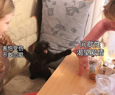 暂无描述