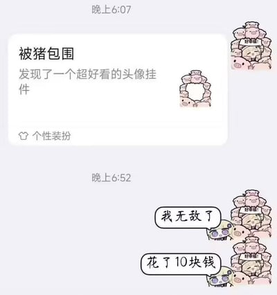 这是一张聊天记录截图，展示了两段时间的对话内容。上方6:07的消息中，用户分享了一个由多只卡通小猪围成环形的头像挂件，配文“被猪包围 发现了一个超好看的头像挂件”，并带有“个性装扮”的按钮提示。下方6:52的回复中，对方发送了一张更丰富的图片：更多卡通小猪簇拥着一个中心角色，小猪们配文“好幸福!”，中心角色则通过对白气泡表达“我无敌了”和“花了10块钱”，整体呈现出购买到心仪挂件后的开心与得意情绪。图片风格可爱，以粉色系卡通小猪为主要视觉元素，充满轻松愉快的氛围。