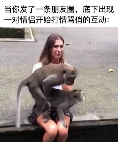 图片上方配有文字“当你发了一条朋友圈，底下出现一对情侣开始打情骂俏的互动：”，下方是一张真人照片：一位长发女子坐在户外长椅上，面露尴尬无奈的表情，两只猴子正在她的腿上亲昵互动，仿佛旁若无人。图片通过猴子的互动比喻朋友圈评论区被情侣打情骂俏霸占的场景，女子的表情则生动展现了原po主被忽略的尴尬处境，整体风格幽默地戳中社交中的常见无奈瞬间。